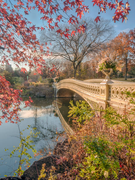 Bow bridge Central Park The Bow Bridge  is a cast iron bridge located in Central Park, New York City, crossing over The Lake historic heritage square phoenix stock pictures, royalty-free photos & images
