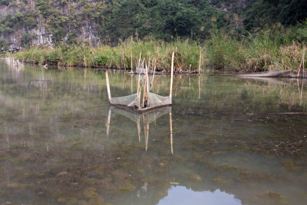 istock fish trap in Vietnam 845541338