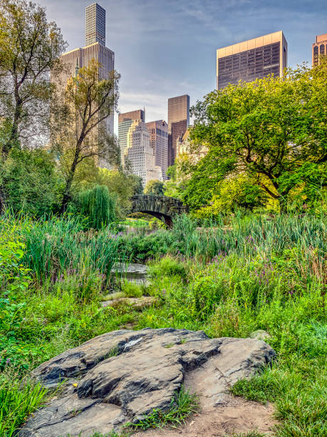 istock Gapstow bridge Central Park, New York City 845542138
