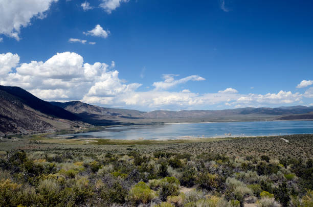 istock Mono lake landscape, USA 845542526