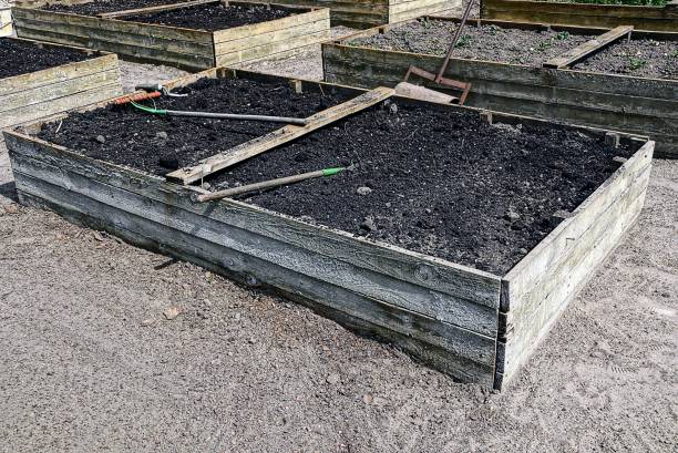 istock gray wooden box in the garden 845545606