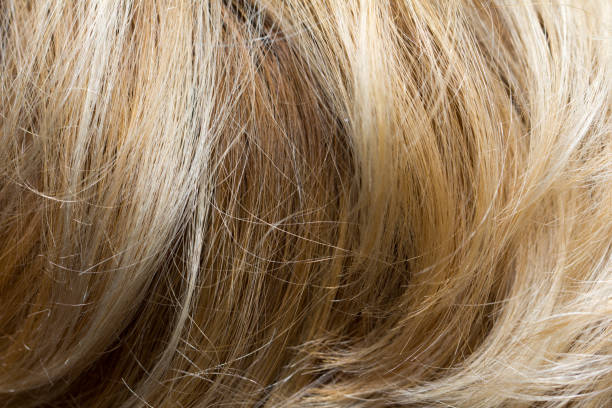 istock background of the hair 845549244