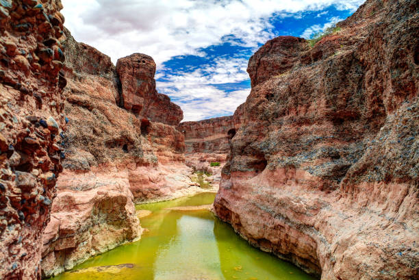 sesriem canyon des tsauchab river, sossusvley, namibia - canyon stock-fotos und bilder