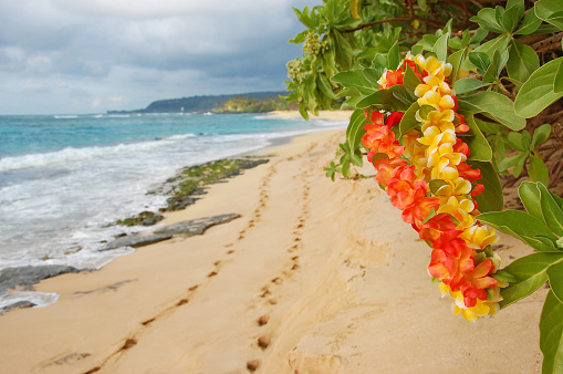 Colorful leis flow in the wind on a secluded Oahu Beach  in late afternoon sun, with two sets of footprints in the sand.