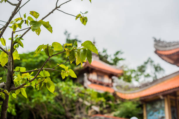 istock Long Son pagoda in Nha Trang, Vietnam 845558692