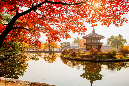 Autumn in Gyeongbokgung Palace, Seoul in South Korea.