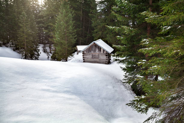 istock cozy wooden cabin in snowy coniferous forest 845565864
