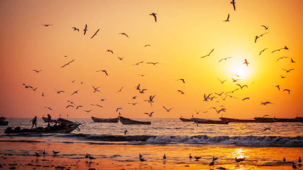 Bateaux de pêche de l’Afrique de l’ouest au coucher de soleil lumière - Gambie - Photo