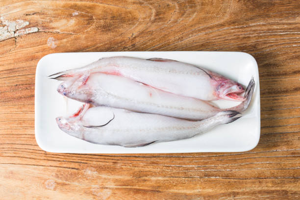 Bombay Duck Fish Stock Photo - Download Image Now - Duck - Bird, Fish, Mumbai - iStock Bombay Duck Fish Stock Photo - Download Image Now - Duck - Bird, Fish, Mumbai - iStock
