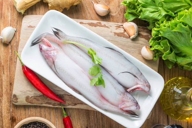 Bombay Duck Fish Stock Photo - Download Image Now - Duck - Bird, Mumbai, Animal - iStock Bombay Duck Fish Stock Photo - Download Image Now - Duck - Bird, Mumbai, Animal - iStock