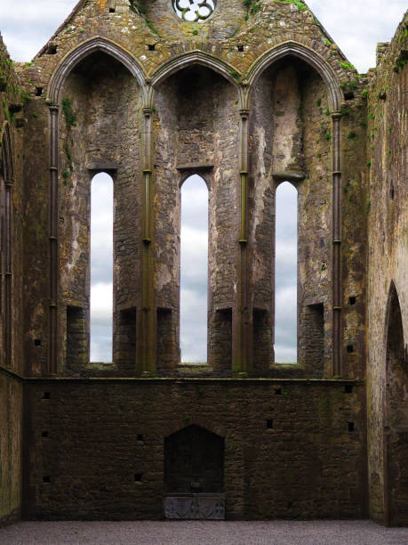 istock Rock of Cashel, Ireland 845569778