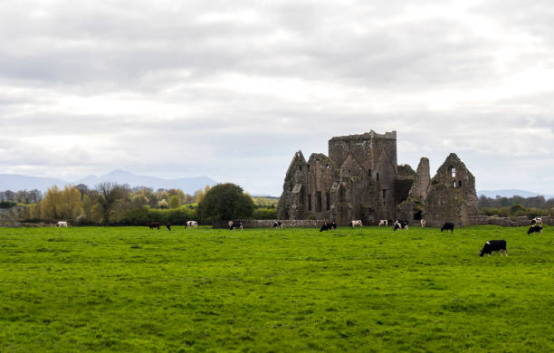 istock Rock of Cashel, Ireland 845569830
