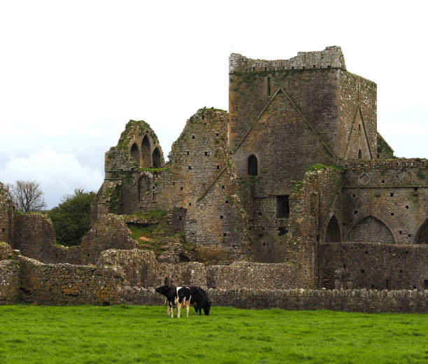 istock Rock of Cashel, Ireland 845569920