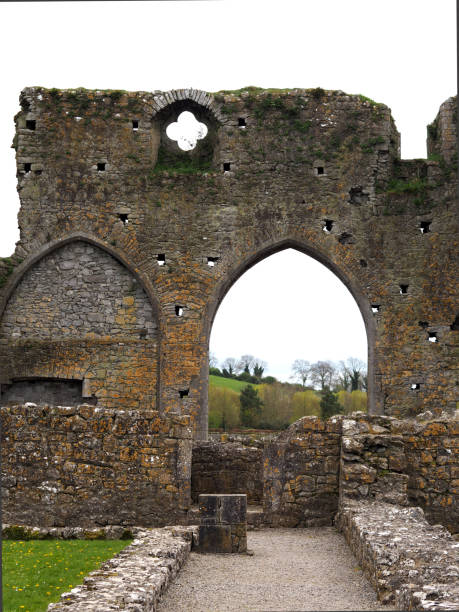 istock Rock of Cashel, Ireland 845569958