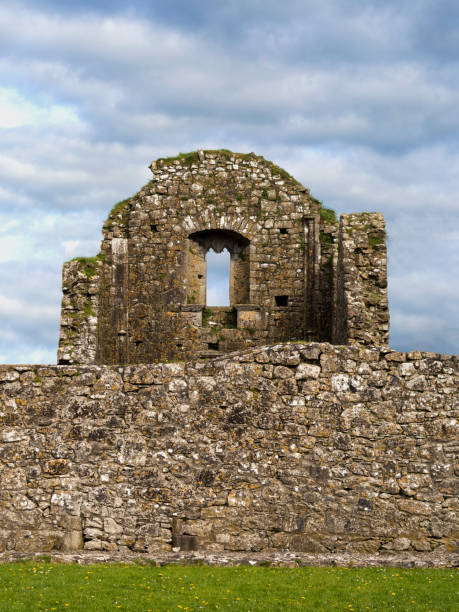 istock Rock of Cashel, Ireland 845570046