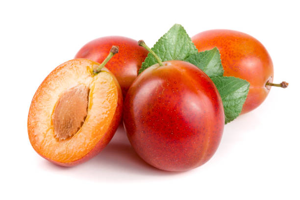 istock red plums end half with leaves isolated on white background 845576918