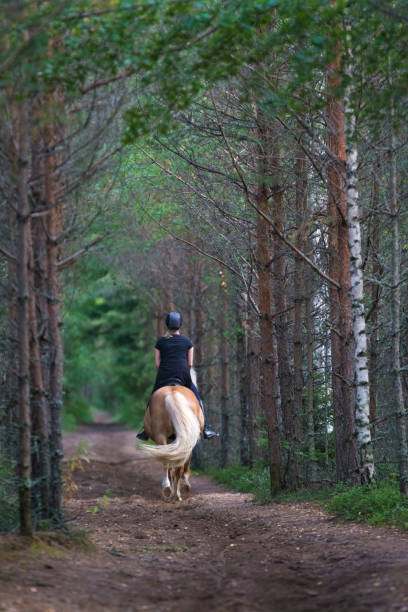 istock Woman horseback riding in forest 845577224
