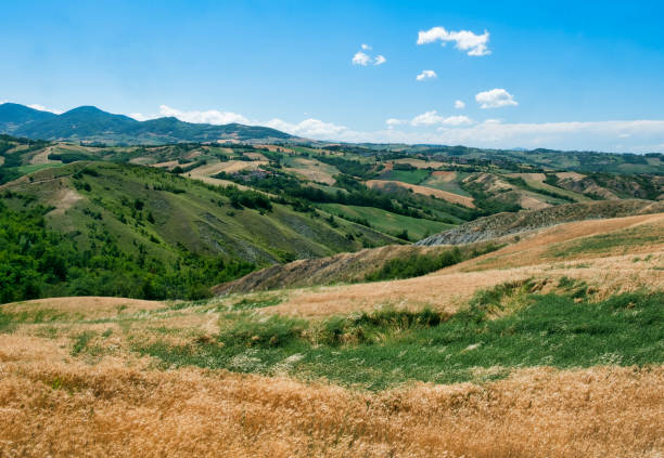 istock Rivalta di Lesignano (Parma, Italy): summer landscape 845579576