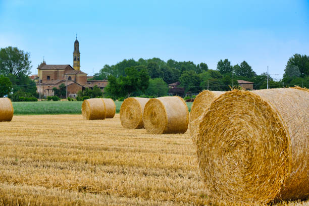 Rural landscape near Fidenza (Parma, Emilia-Romagna, Italy) at summer. Farm with the town of Parola in background