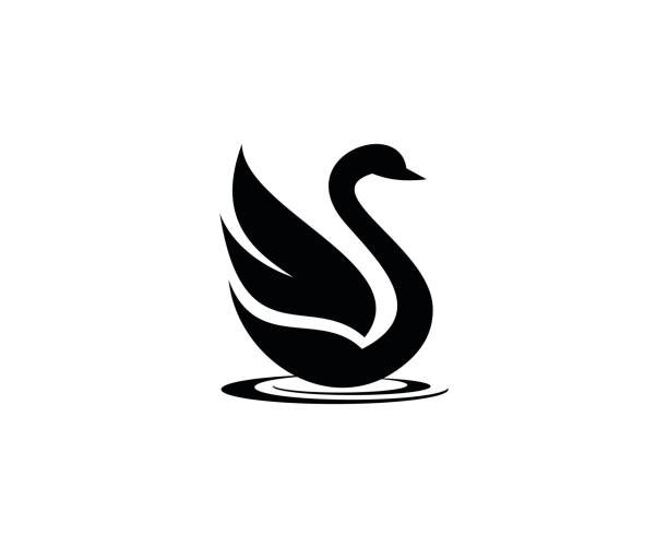 ilustrações, clipart, desenhos animados e ícones de ícone de swan  - cisne