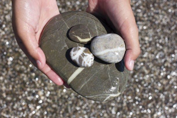 istock Large grey wet sea stone in hands 845583642