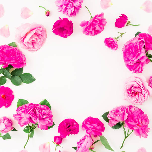 istock Floral round frame with pink roses and leaves on white background. Flat lay, top view. 845592544
