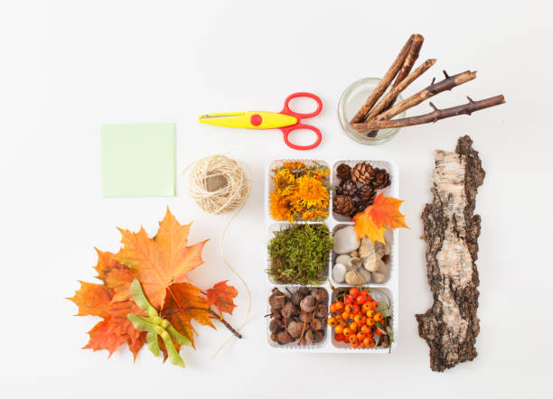 Acorns, pine cones, moss, berries of mountain ash, stones for decorating