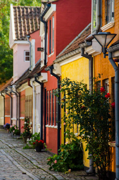 old houses in h.c.andersen`s quarter in denmark - hans christian andersen imagens e fotografias de stock