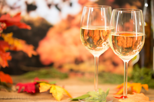 Outdoors wine tasting event in the autumn season.  Fall leaves and autumn landscape in background.  Two glasses of white wine in foreground.  No people.