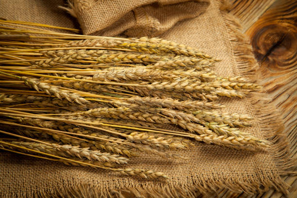 istock Wheat on a wooden background 845602142