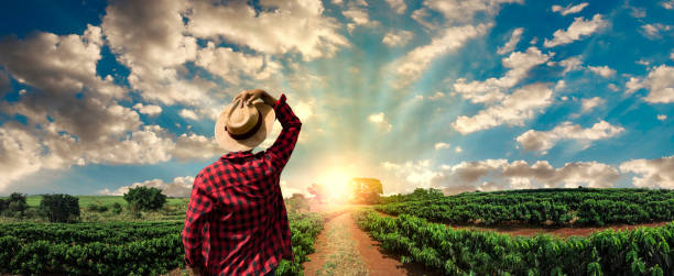 Farmer with hat standing in a coffee plantation