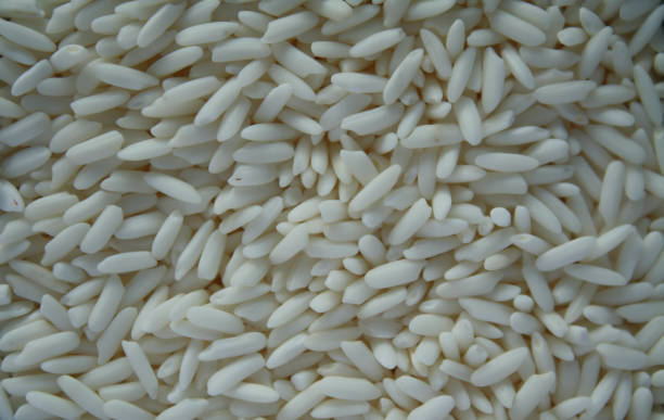 Glutinous rice is a type of rice grown mainly in Southeast and East Asia and the eastern parts of South Asia, which has opaque grains, very low amylose content, and is especially sticky when cooked,uncooked, natural, diet
