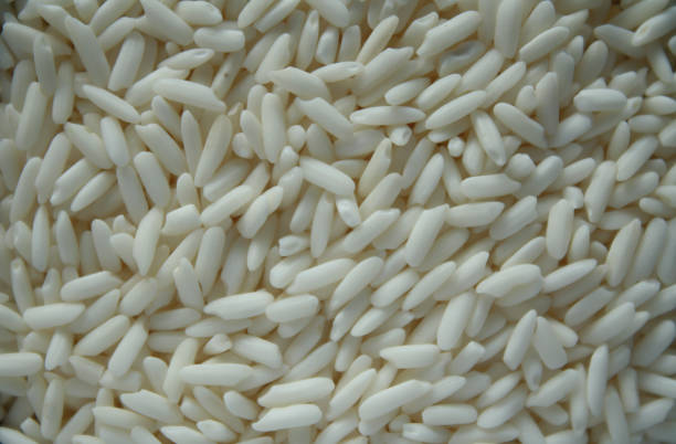 Glutinous rice is a type of rice grown mainly in Southeast and East Asia and the eastern parts of South Asia, which has opaque grains, very low amylose content, and is especially sticky when cooked,uncooked, natural, diet
