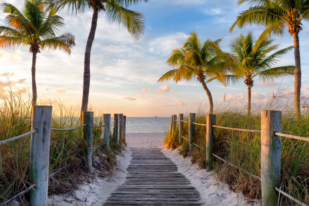 istock Footbridge to the beach 845606390