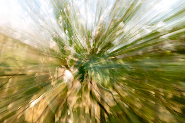 istock beautiful background blur on the nature of 845612008