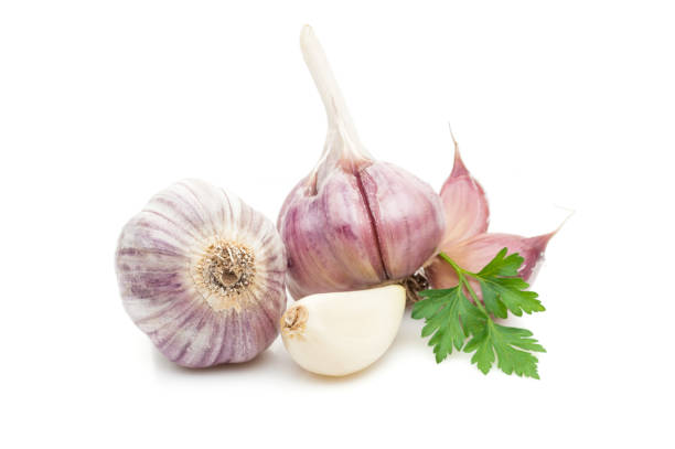 istock garlic  with parsley greenery isolated on white background 845615494