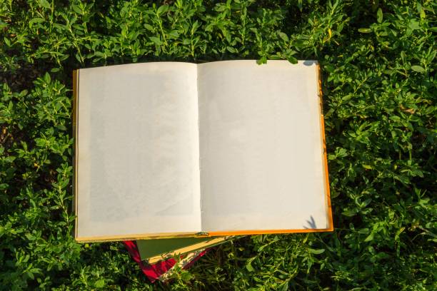 Open book with blank pages on green grass