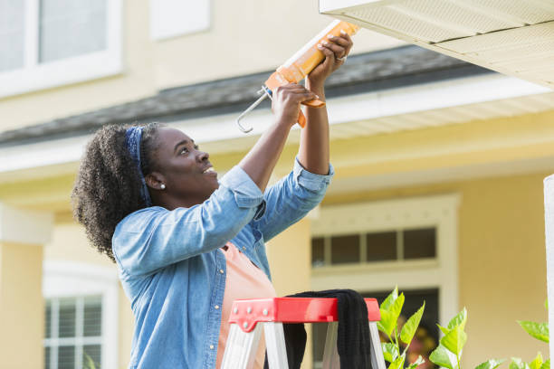 istock Woman on ladder outside house doing repairs 845628880