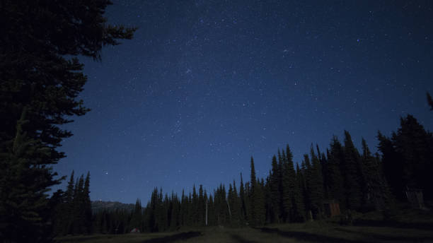 istock Stars in the night sky and scenic landscape 845632974