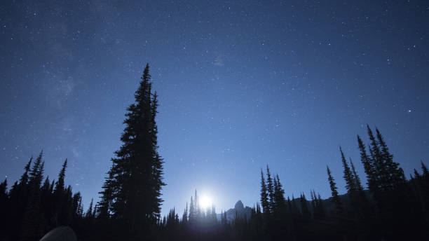 istock Night Sky Photography over Garibaldi Park 845635476