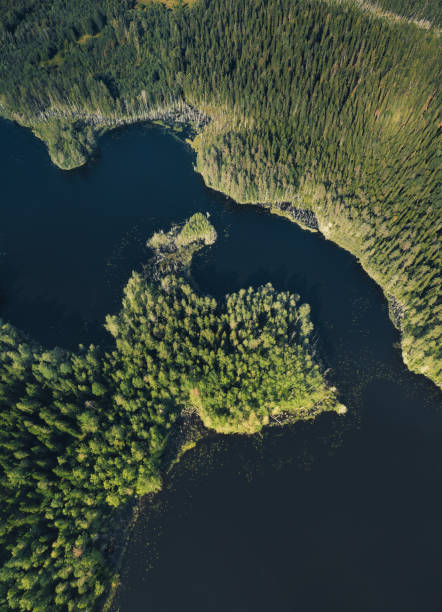 istock River in the forest. Aerial landscape from drone 845635786