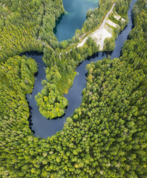 istock River in the forest. Aerial landscape from drone 845635806
