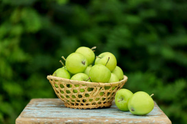 Homemade rustic green apples in a basket on an old stool. Selective focus.