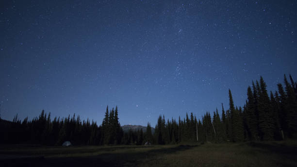 tent campground under star covered night sky Starry summer night over a hiking campground and mountain scenery. garibaldi park stock pictures, royalty-free photos & images