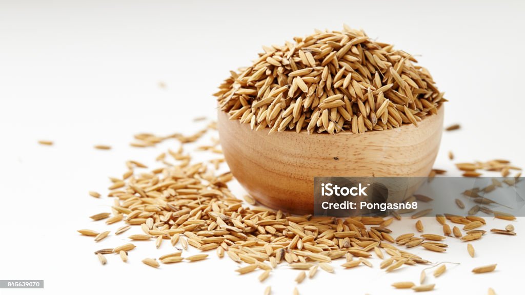 Paddy seeds in wooden Bowl Paddy seeds in wooden bowl on white background Whole Stock Photo