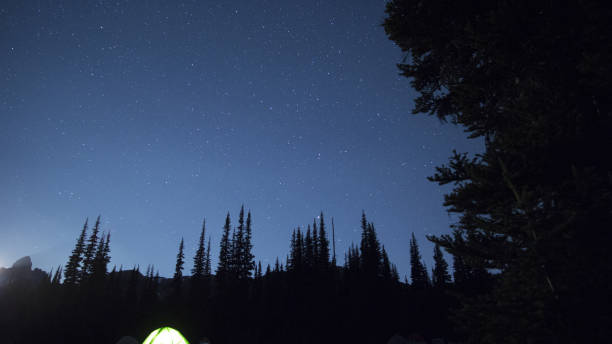 istock Scenic nature and star covered night sky 845639280