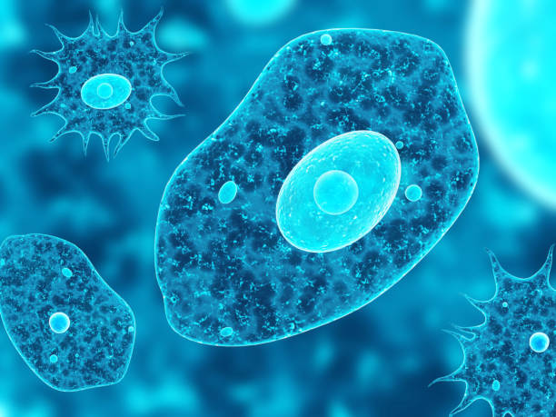amoebas on abstract blue background - russian influenza epidemic virus flu virus imagens e fotografias de stock