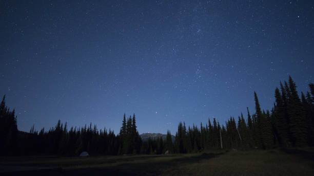 istock Northern Sky Stars 845639816