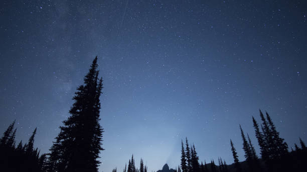 istock Black tusk under star covered night sky 845642204