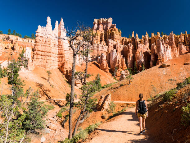 istock Young woman hiking in bryce canyon 845642228
